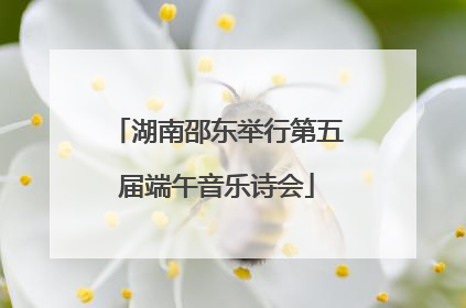 湖南邵东举行第五届端午音乐诗会