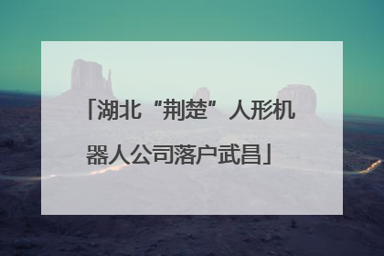 湖北“荆楚”人形机器人公司落户武昌