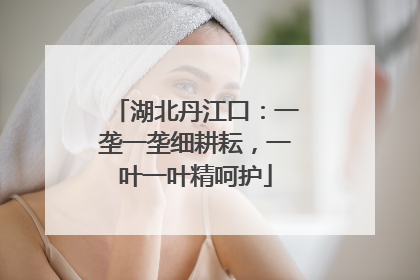 湖北丹江口：一垄一垄细耕耘，一叶一叶精呵护