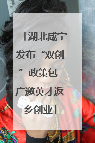 湖北咸宁发布“双创”政策包 广邀英才返乡创业