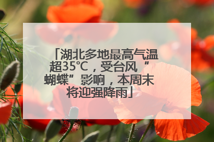 湖北多地最高气温超35℃，受台风“蝴蝶”影响，本周末将迎强降雨