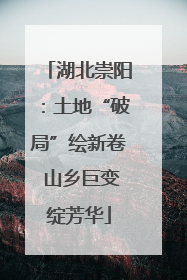 湖北崇阳：土地“破局”绘新卷 山乡巨变绽芳华