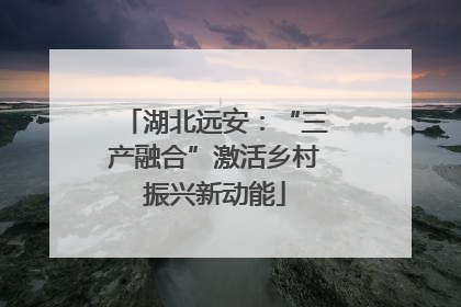 湖北远安：“三产融合”激活乡村振兴新动能