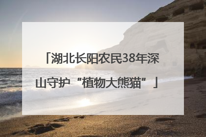 湖北长阳农民38年深山守护“植物大熊猫”