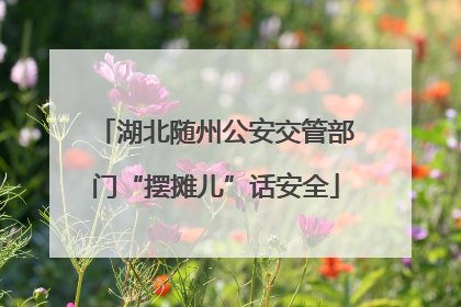 湖北随州公安交管部门“摆摊儿”话安全