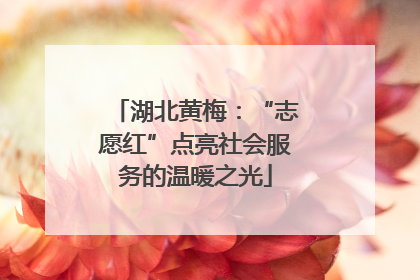 湖北黄梅：“志愿红”点亮社会服务的温暖之光