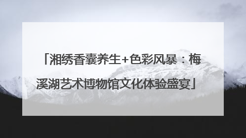 湘绣香囊养生+色彩风暴：梅溪湖艺术博物馆文化体验盛宴