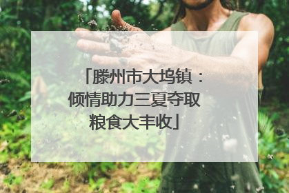 滕州市大坞镇：倾情助力三夏夺取粮食大丰收