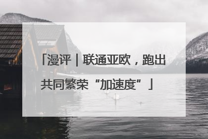 漫评｜联通亚欧，跑出共同繁荣“加速度”