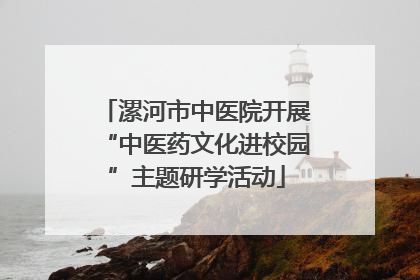 漯河市中医院开展“中医药文化进校园”主题研学活动