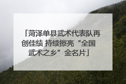 菏泽单县武术代表队再创佳绩 持续擦亮“全国武术之乡”金名片