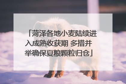 菏泽各地小麦陆续进入成熟收获期 多措并举确保夏粮颗粒归仓