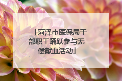 菏泽市医保局干部职工踊跃参与无偿献血活动