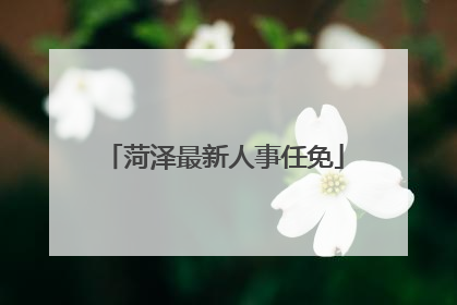 菏泽最新人事任免