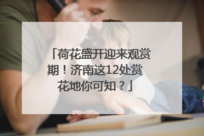 荷花盛开迎来观赏期！济南这12处赏花地你可知？
