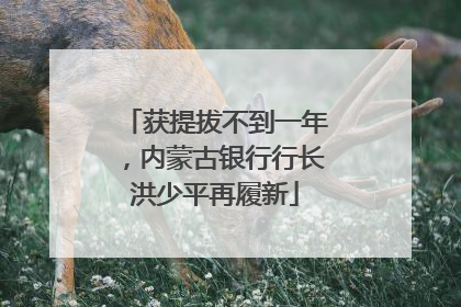 获提拔不到一年，内蒙古银行行长洪少平再履新