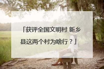 获评全国文明村 新乡县这两个村为啥行？