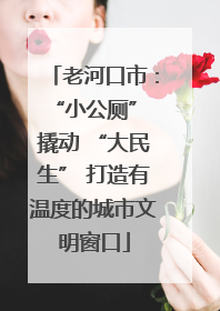 老河口市：“小公厕” 撬动 “大民生” 打造有温度的城市文明窗口
