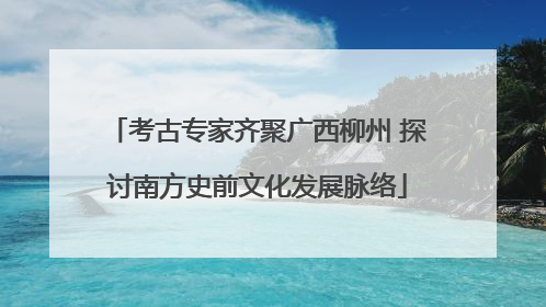 考古专家齐聚广西柳州 探讨南方史前文化发展脉络