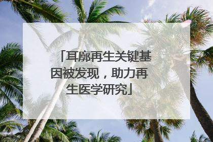 耳廓再生关键基因被发现，助力再生医学研究