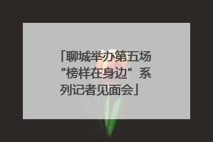 聊城举办第五场“榜样在身边”系列记者见面会