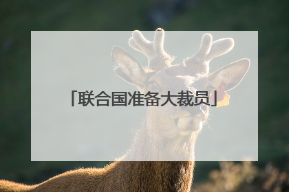 联合国准备大裁员