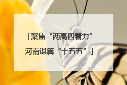 聚焦“两高四着力” 河南谋篇“十五五”