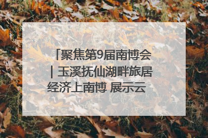 聚焦第9届南博会｜玉溪抚仙湖畔旅居经济上南博 展示云南生活新样本