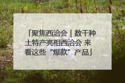 聚焦西洽会｜数千种土特产亮相西洽会 来看这些“爆款”产品