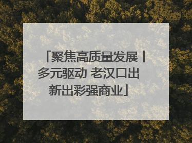 聚焦高质量发展丨多元驱动 老汉口出新出彩强商业