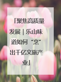 聚焦高质量发展｜乐山味道如何“烹”出千亿文旅产业