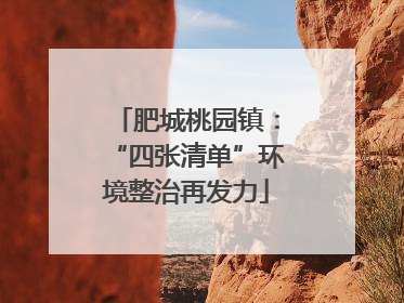 肥城桃园镇：“四张清单”环境整治再发力