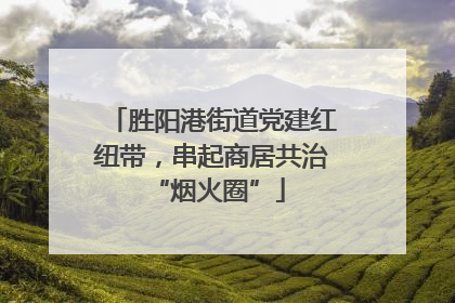 胜阳港街道党建红纽带，串起商居共治 “烟火圈”