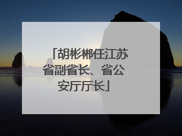 胡彬郴任江苏省副省长、省公安厅厅长