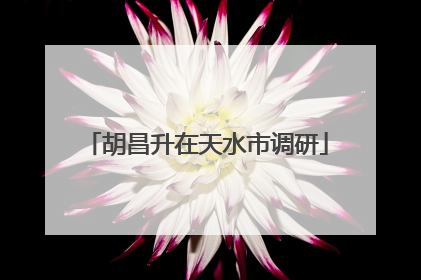 胡昌升在天水市调研