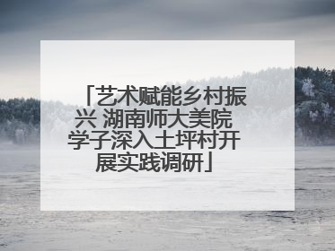 艺术赋能乡村振兴 湖南师大美院学子深入土坪村开展实践调研