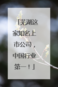 芜湖这家知名上市公司，中国行业第一！
