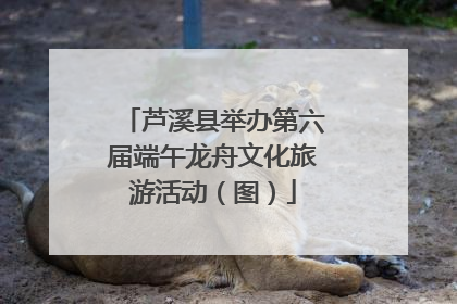 芦溪县举办第六届端午龙舟文化旅游活动（图）