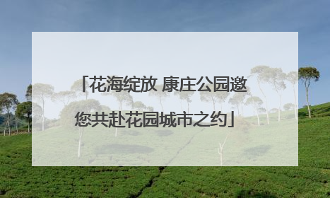 花海绽放 康庄公园邀您共赴花园城市之约
