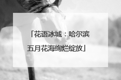 花语冰城：哈尔滨五月花海绚烂绽放