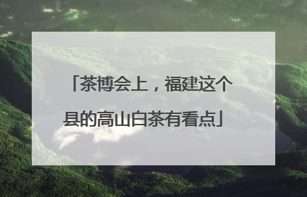 茶博会上，福建这个县的高山白茶有看点