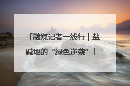融媒记者一线行｜盐碱地的“绿色逆袭”