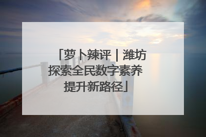 萝卜辣评｜潍坊探索全民数字素养提升新路径