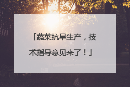蔬菜抗旱生产，技术指导意见来了！