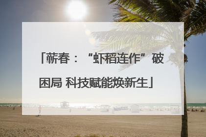 蕲春：“虾稻连作”破困局 科技赋能焕新生