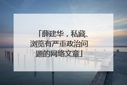 薛建华，私藏、浏览有严重政治问题的网络文章