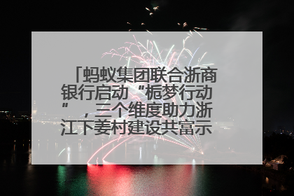 蚂蚁集团联合浙商银行启动“栀梦行动”，三个维度助力浙江下姜村建设共富示范区示范点