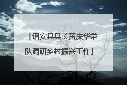 诏安县县长黄庆华带队调研乡村振兴工作