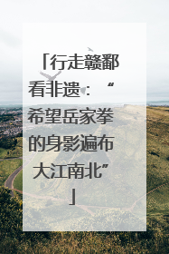 行走赣鄱看非遗：“希望岳家拳的身影遍布大江南北”