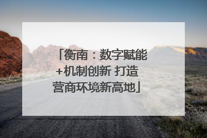 衡南：数字赋能+机制创新 打造营商环境新高地